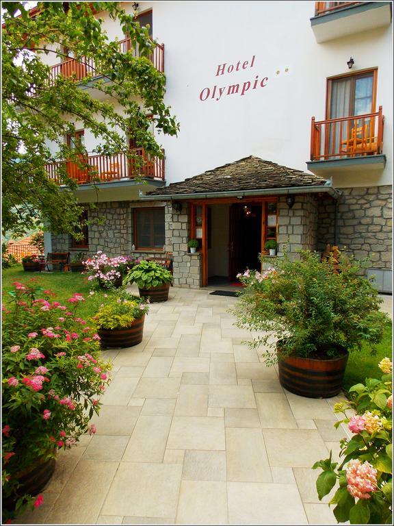 Hotel Olympic Metsovo Exterior photo
