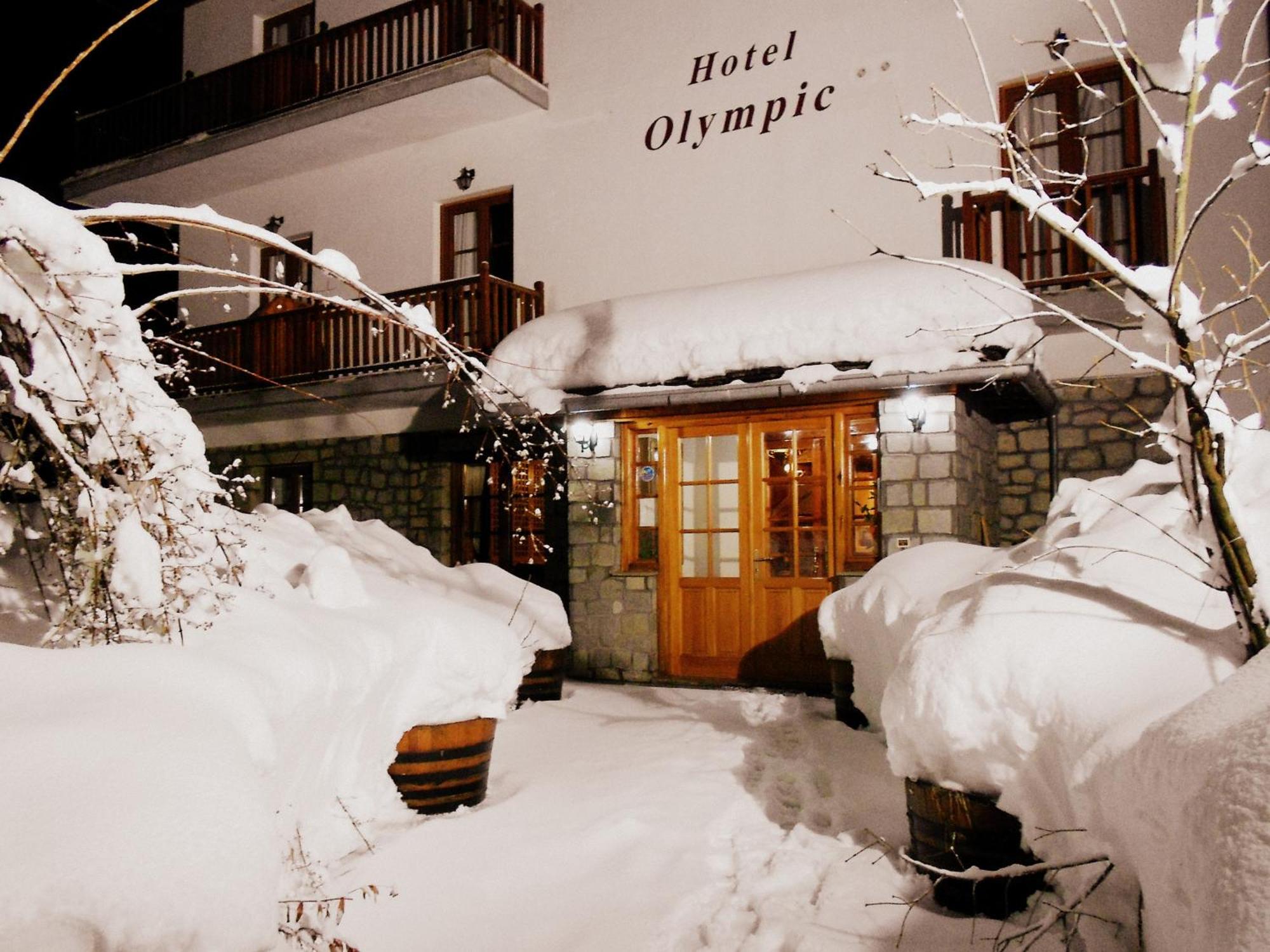 Hotel Olympic Metsovo Exterior photo