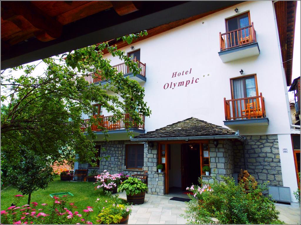 Hotel Olympic Metsovo Exterior photo