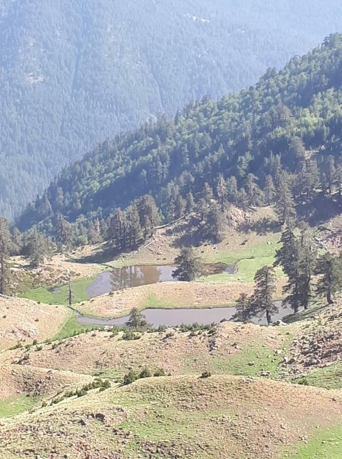 Hotel Olympic Metsovo Exterior photo